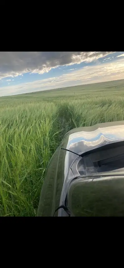 PENDING 4 Quarters!!!! 3 quarters are Organic crop land for sale certified through TCO was seeded to...