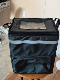 Back Pack Insulated Cooler 