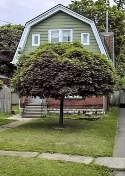 Available October 1st. Looking for a roomate to rent the other room in a 2-bedroom apartment (single...