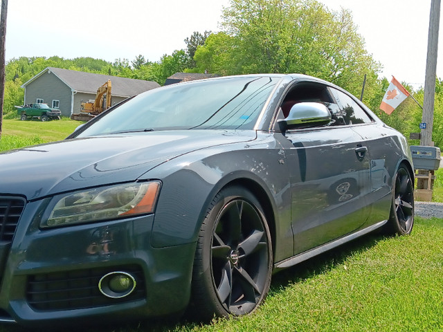 2008 AUDI QUATRO S5 V8 6 SPEED MANUEL 2DOOR COUPE in Cars & Trucks in Fredericton - Image 3