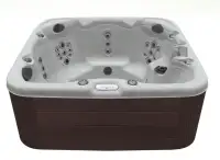 MasterSpas Hot Tub for Sale