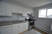 Renoed 2 room apt - Avail now or May - 30 Cunningham