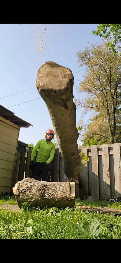 Tree Pruning Tree Removal 647 654-1884, View more
