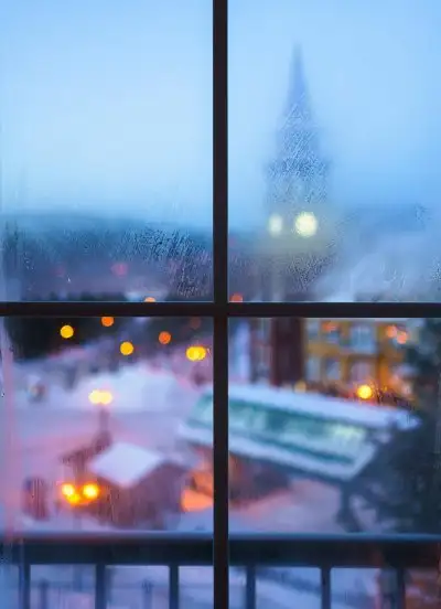 Defogging Made Easy: Professional Solutions for Winter Windows, View more