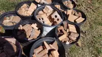 Free broken brick pieces for fill or gardening