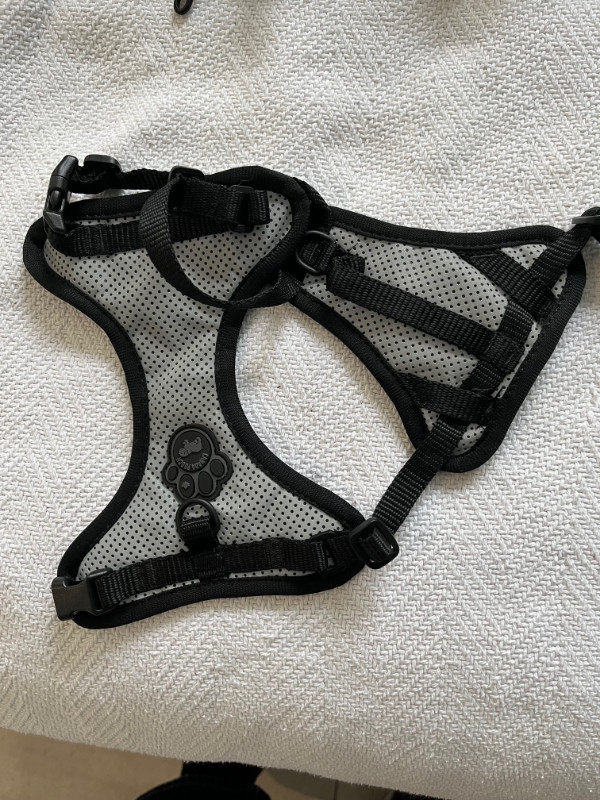 Everything Dog Harness – Grey in Accessories in Ottawa