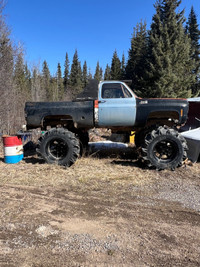 Mud bogger project 