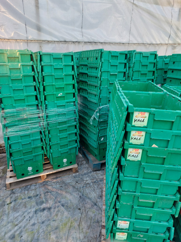 Plastic Tubs in Storage Containers in Norfolk County - Image 3