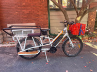 Radpower Wagon cargo electric bike