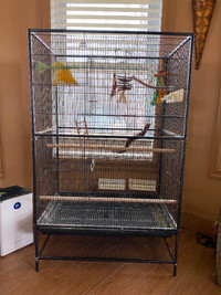Prevue Hendryx F040 Pet Products Wrought Iron Flight Cage with S