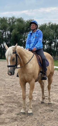 8 yr old paint gelding…suitable for kid pony club or aa