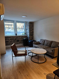 Sublet in downtown Montreal