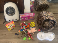 Free cat toys, litter, and more