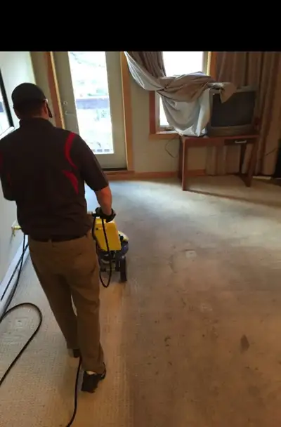 Duct Cleaning, Carpet cleaner, Carpet cleaning, View more
