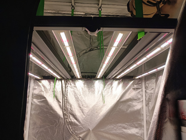 LED Full Spectrum Grow Light - Mint Condition - Like New! in Other in Truro - Image 2