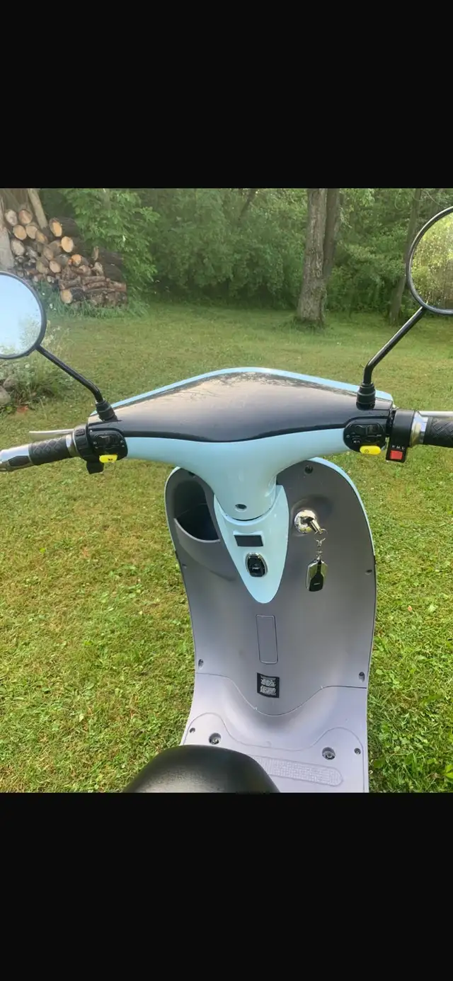 Great Christmas Gift in eBike in St. Catharines - Image 4