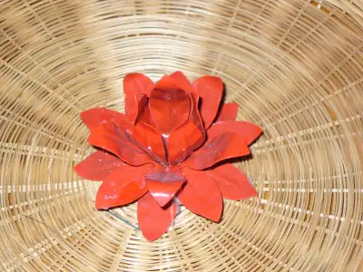 Très joli plat en osier d'environ 30cms de diamètre. La fleur rouge au milieu est en métal et peut s...