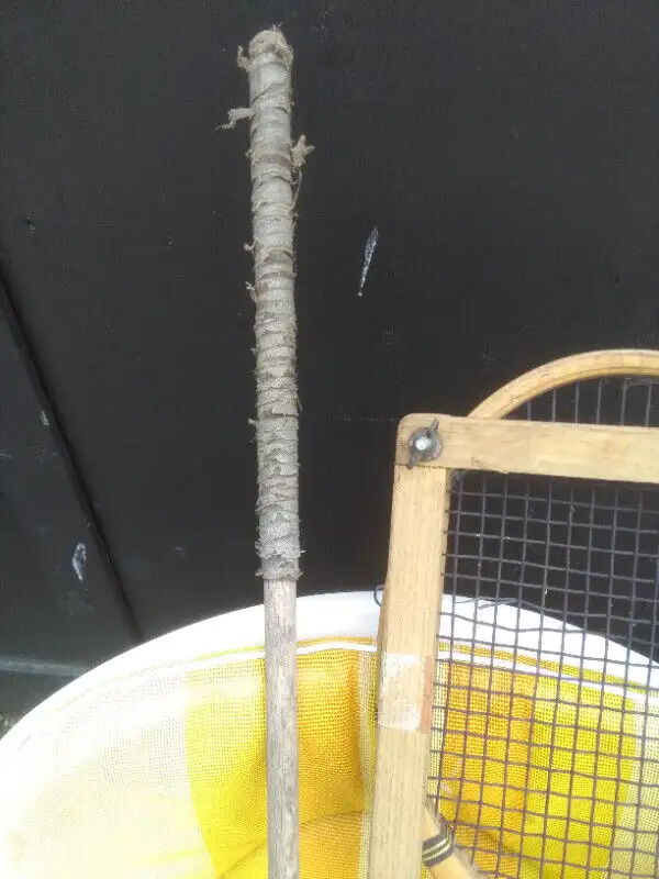 Vintage Golf club Iron and  Saladino Tennis Racquet in Tennis & Racquet in Ottawa - Image 4