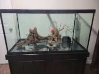 120 gallon fish tank available for sale.