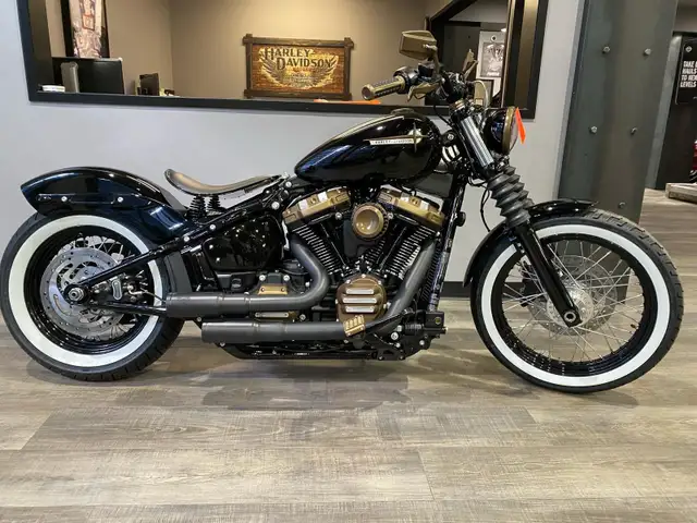 Iron Maiden in Street, Cruisers & Choppers in Calgary - Image 5