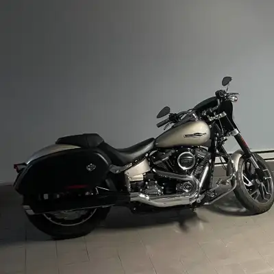 Sport Glide 2018, moteur (107), couleur Silver Fortune Accessoires Defiance:Hand grips, break pedal,...