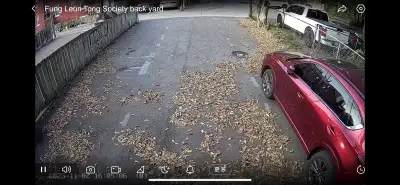 These parking spots are available for rent in a secure, accessible location. They appear to be in go...