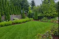 GardenScape Lawn Care  Rates Start at $40