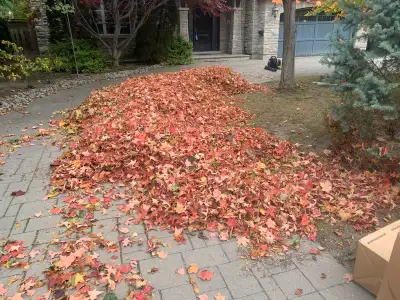 We are a small landscaping company that offer a number of different services from : -Lawn care -Tree...