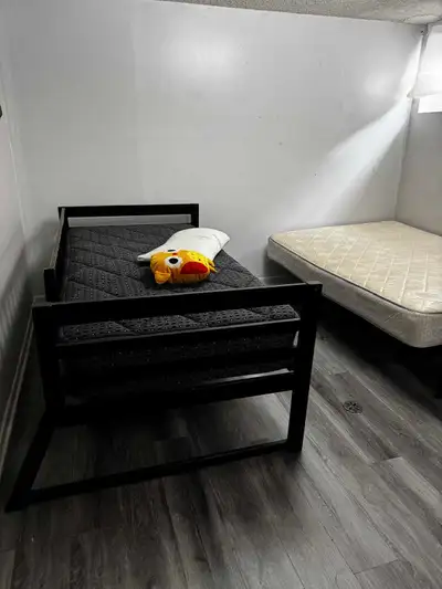 Room for rent (female)