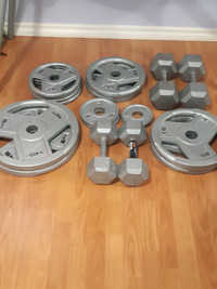 Gym Equipment