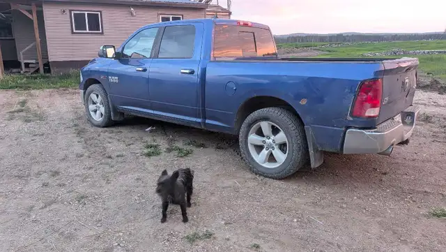 Dodge  Ram 519876549081845764