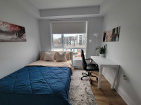 Room to rent for students/professionals 