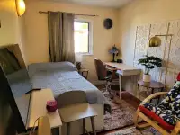 Centrally located fully furnished room
