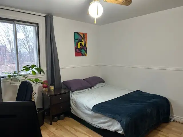 Room for rent in spacious apartment - Chambre a louer