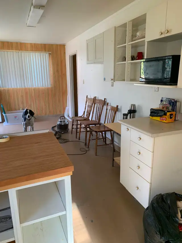 One bedroom cabin for rent