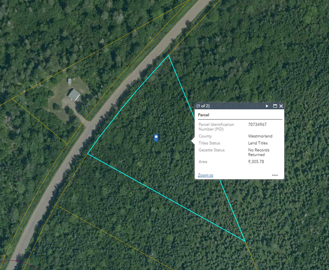 Land for sale - woodlot Memramcook