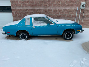 1979 Pontiac Sunbird