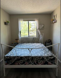 Queen Bedframe , mattress and box spring 