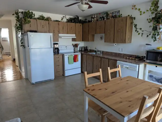 LACHINE CHARMANT 4 1/2 POSSIBILITÉ DE STATIONNEMENT