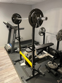 Squat Bench Rack with 5’ Olimpic bar and weights 