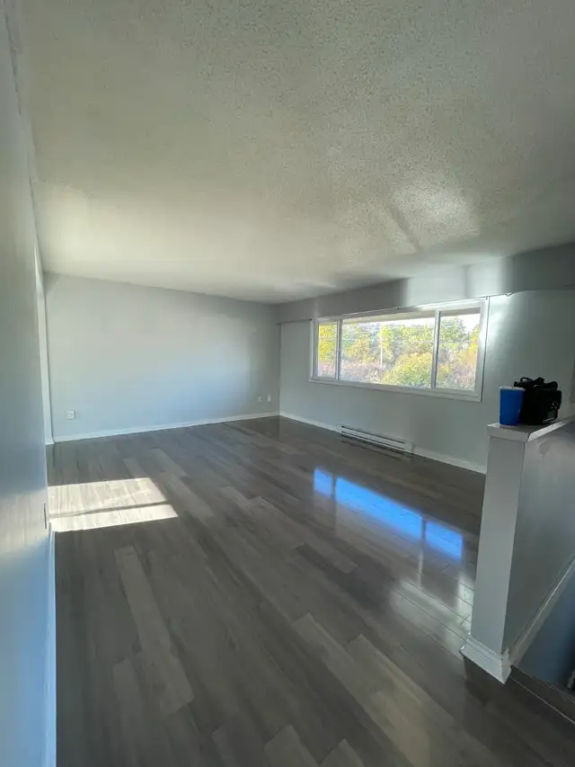 Spacious and bright 4 bed/2 full bath Pet-friendly home for rent in Long Term Rentals in Victoria - Image 5