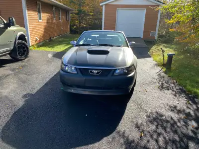 I'm selling my used Ford Mustang GT Convertible, a sleek ride perfect for summer cruises, featuring...