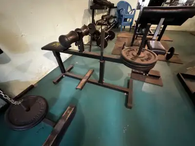seated calf raise machine, View more