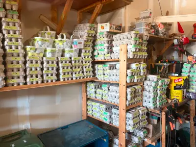 Out of the Woods Good Quality Used Golf Balls, View more