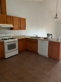 Beautiful and Spacious 2 Bedroom Apartment for Rent