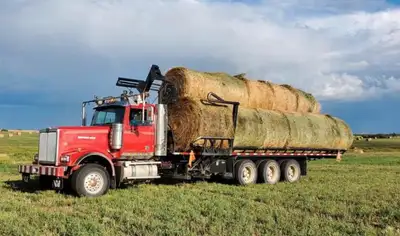 self load/unload bale hauling , View more