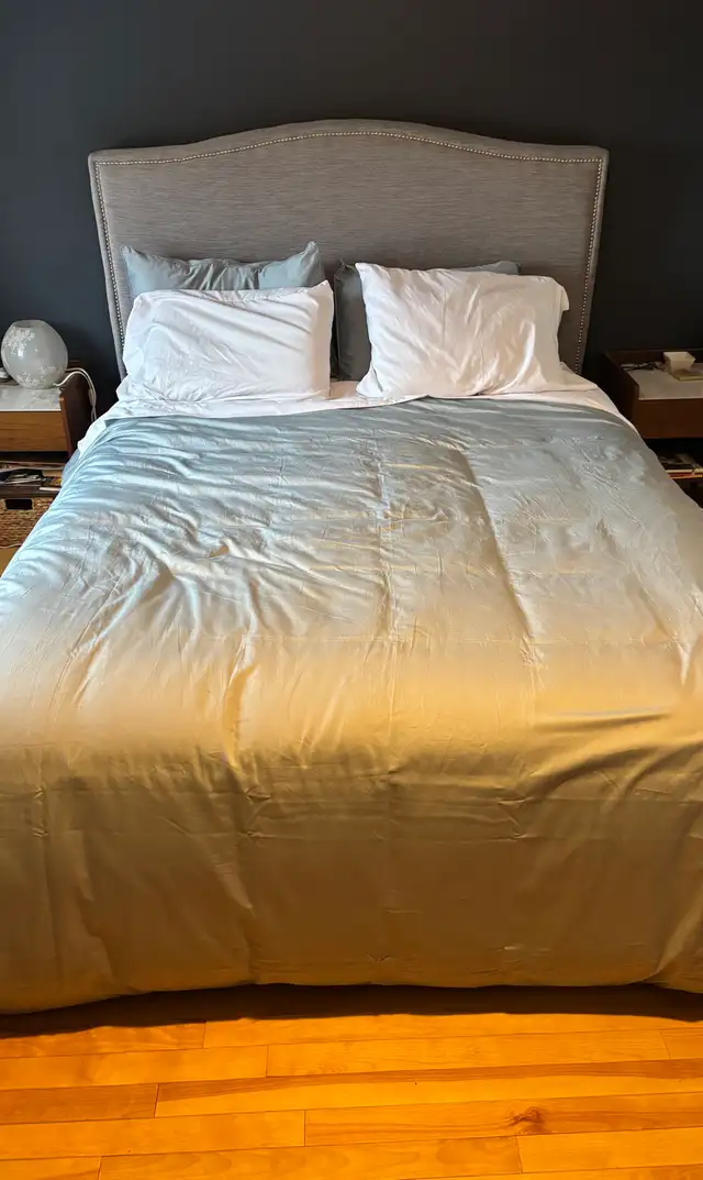 Queen Bed Frame in Beds & Mattresses in Ottawa - Image 2