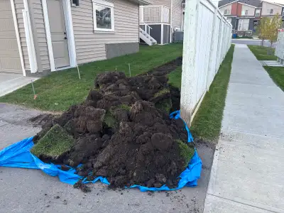 Free black dirt and sod cut into squares. Thick and lush and dirt is rich. Delivery not available. T...