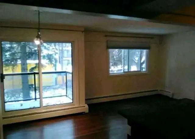 Highly Skilled Painter looking for Work (reasonable pricing)435641565074565124