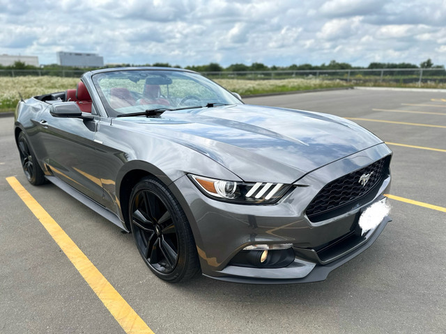 Ford Mustang Ecoboost Premium Convertible in Cars & Trucks in Ottawa